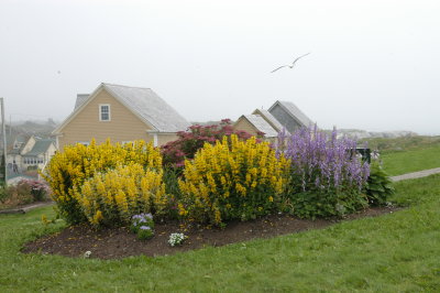 DSC_0134.JPG