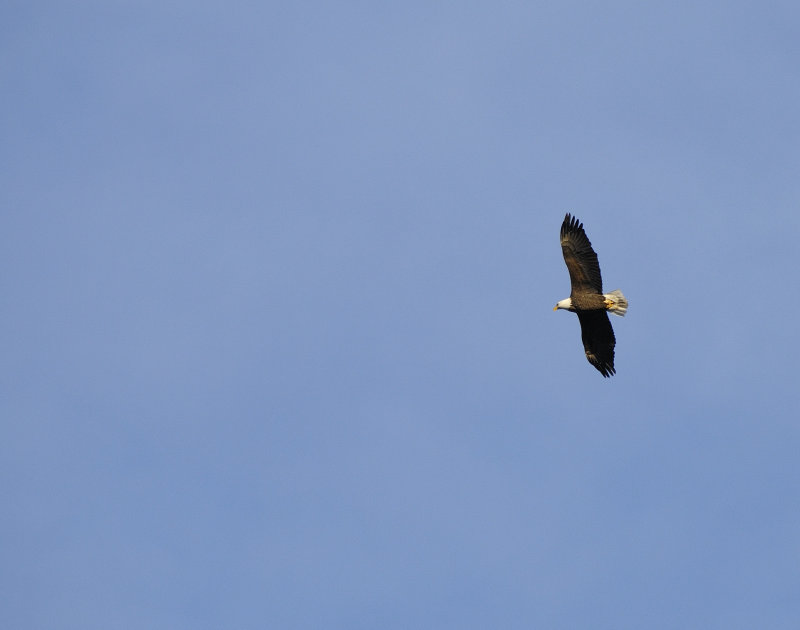 _DSC3859.jpg