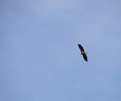 _DSC3860.jpg