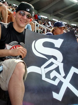 Michael's Sox sign