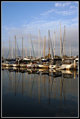 Morning at the Harbor