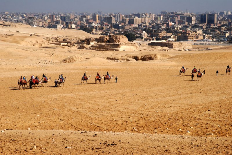 Highrises next to desert