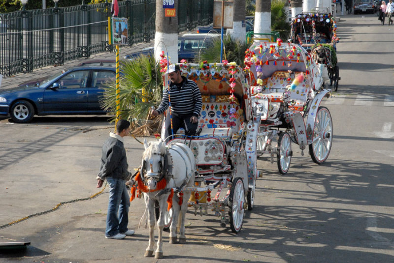 Horse carriages