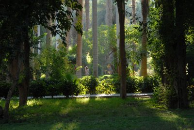 Botanical Gardens