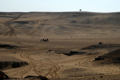 Police on camel