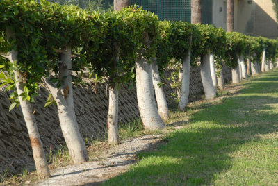 Abdeen Palace