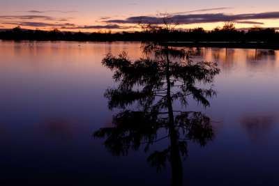 Evening