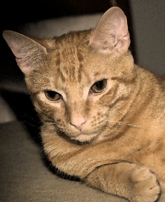 New Photos of Pumpkin