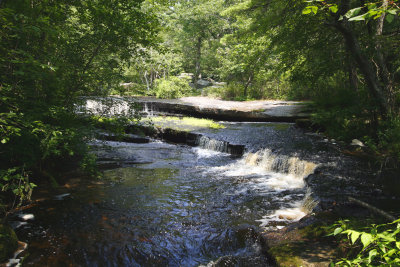 _MG_2072--------walk along the stream.jpg