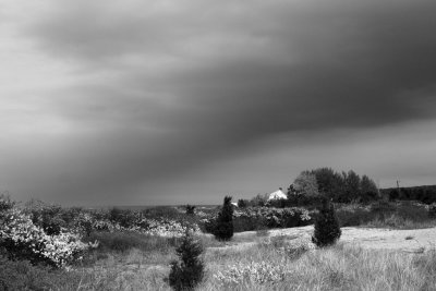 IMG_0076--------tinkered.jpg