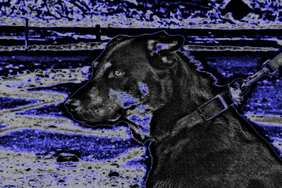 IMG_9537-----over shapened n colorful------n neon glow filter.jpg