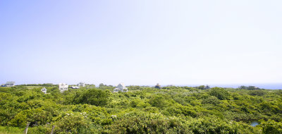 _MG_1768----------EDITED.jpg