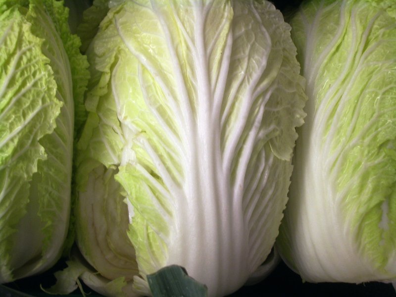 Napa Cabbage