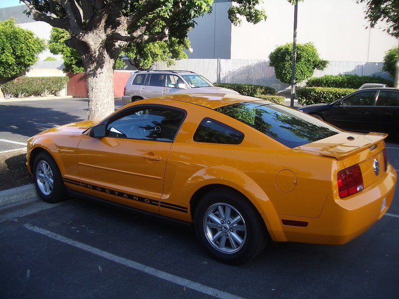A Hot Mustang