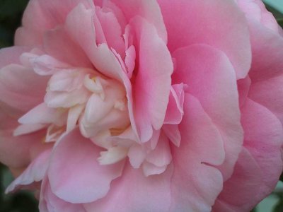 g6/78/459878/3/71178302.EfsdCj7E.jpg