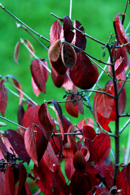 hanging on