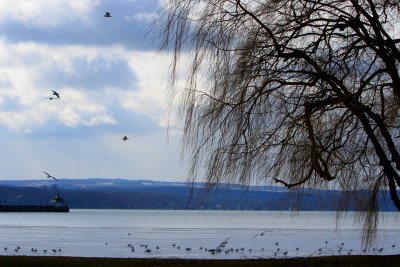 Owasco Lake