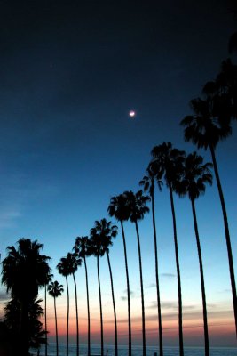 Moon Over La Jolla