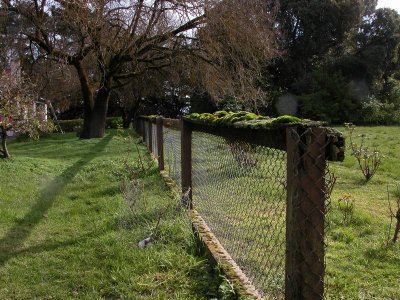 Fence original.jpg