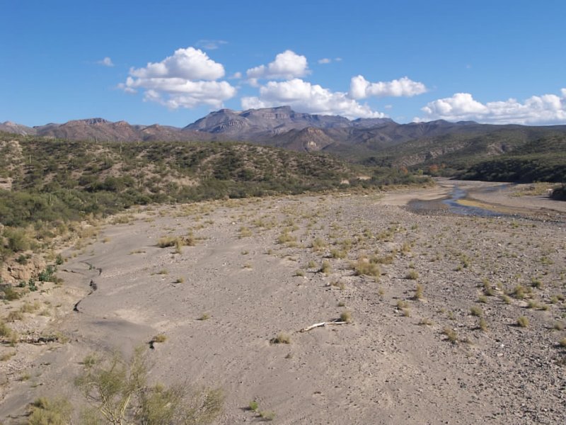 Lower Aravaipa Creek