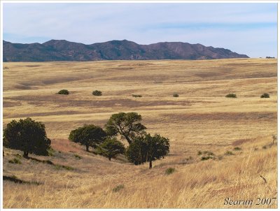 San Rafael Valley National Grasslands
