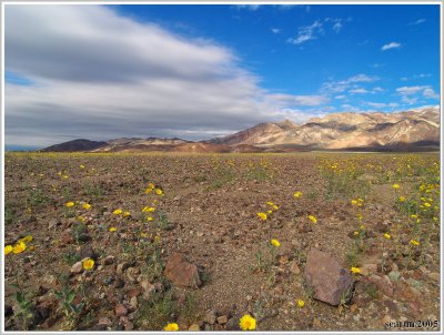 Death Valley National Park