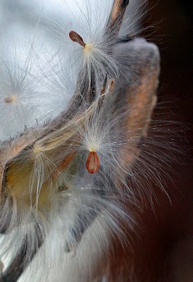 g6/78/537578/3/70416290.aXaWxa0M.jpg