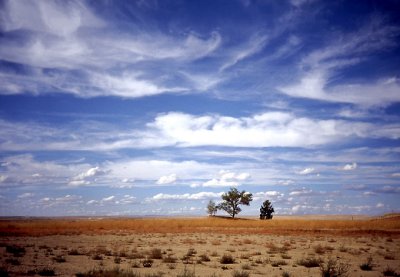 Wyoming Plains