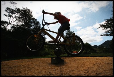 Lissy Goes To The Park, New Zealand 2007