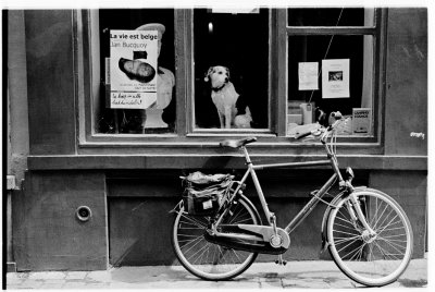 La Vie Est Belge, Brussels 2007