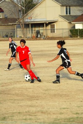 DSC_0230.JPG