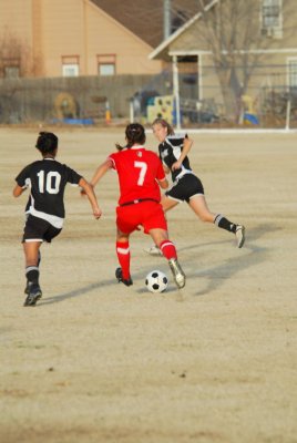 DSC_0231.JPG
