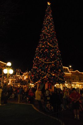 Disney 06 208.JPG