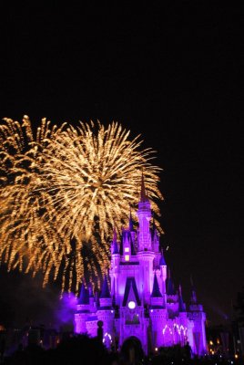 Disney 06 229.JPG
