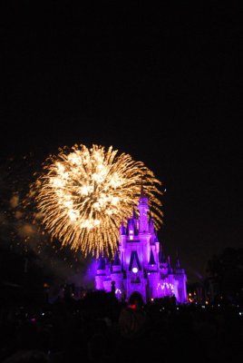 Disney 06 240.JPG