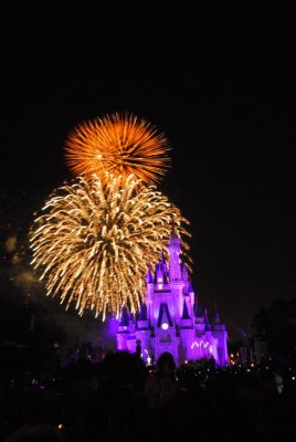 Disney 06 242.JPG