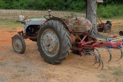 DSC_0137.JPG