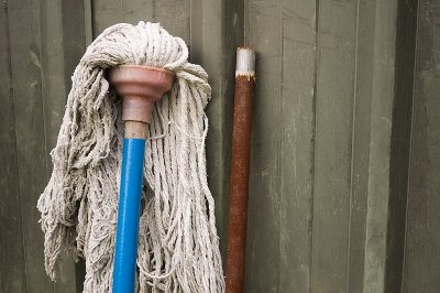 Portrait of a mop