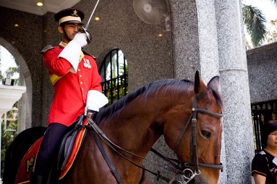 Guard at Istana Negara