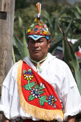 PAPANTLA FLYER