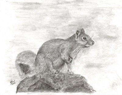 Graphite Pencil - An Exercise