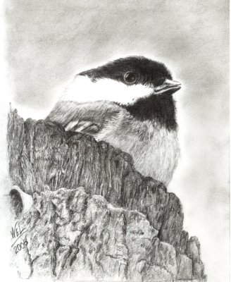 Graphite Pencil - The Chicadee