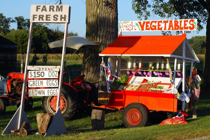 Near Beaverville IN - Farmer Stand