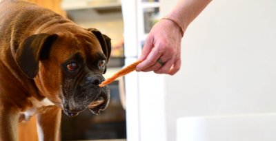 Charlie and the Chicken Strip