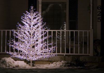 White Xmas Tree