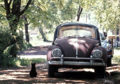 1972 - Black Cat and a Bug