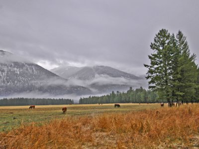 Low Clouds Near Whitefish