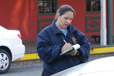 Parking Ticket Goddess