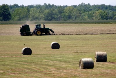 Baling Hay near Montrose City