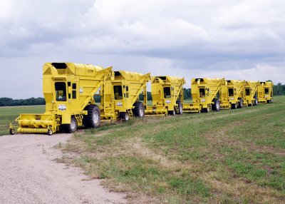 Yellow Balers in a row